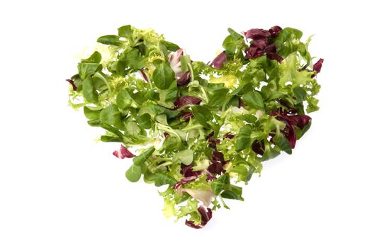 A heart of green salad (corn salad, escarole and radicchio) suggesting love and health.