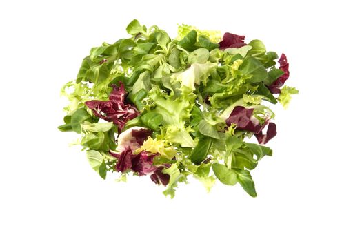 Escarole, radicchio and corn salada isolated against a white background.