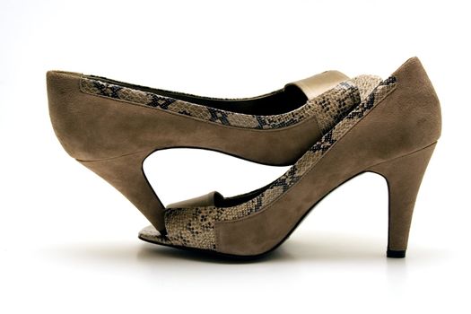 Elegant female shoes with a high heel on a white background.