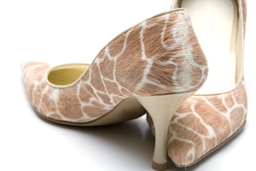 Elegant female shoes with a high heel on a white background.