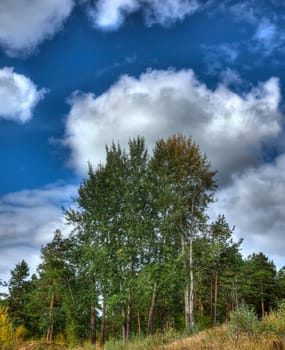Nature autumn landscape, HDR image