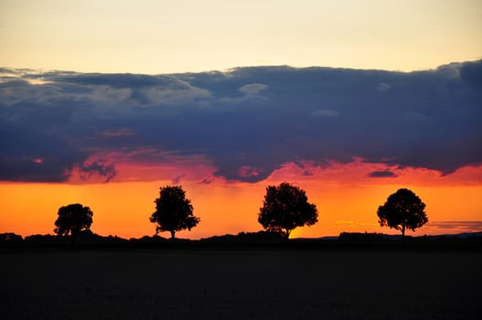 Sunset with trees