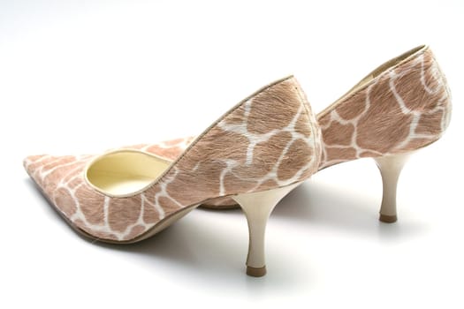 Elegant female shoes with a high heel on a white background.