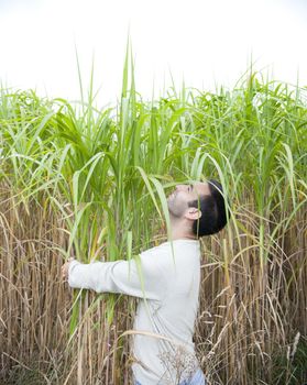 Man hugging a crop of bamboo.