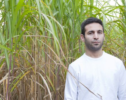 Man standing in a crop of bamboo.