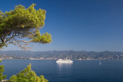 Landscape of tigullio gulf from Portofino. A pine tree faces the sea with a white ship at anchor.
Photo taken with polarizer filter.