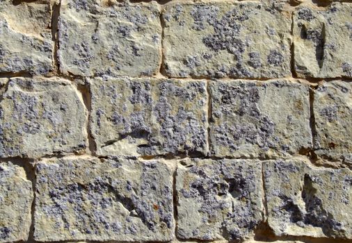 Detail and texture of medieval buildings. Limestone wall in Malta, with lichens growth