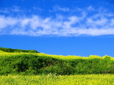 Beautiful Mediterranean countryside in Malta during late winter