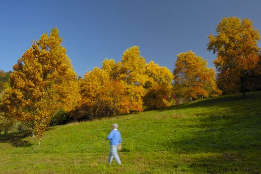 A man walks through open woodland in autumn. Motion blur on the man.