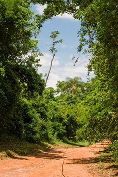 Dirt road by the Brazilian Atlantic rainforest, on a day of sun and blue sky.