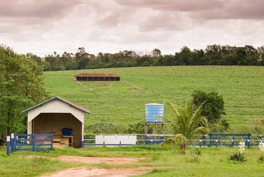 Farmland with pasture and trees on western Parana State, southern Brazil.