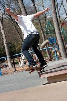 Action shot of a skateboarder performing a jump at a skate park.