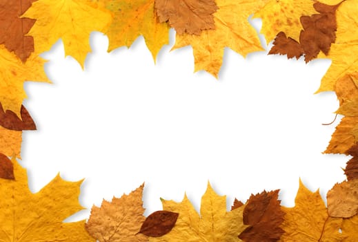 Frame made from dry autumn leaves. Isolated with clipping path
