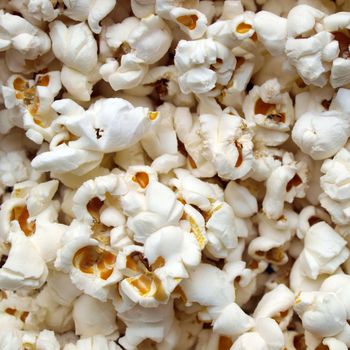 Pop corn maize useful as a background