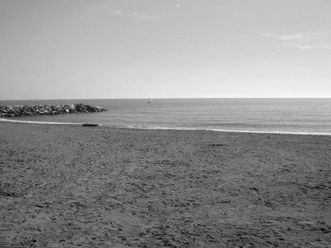 Shore beach by the sea with palm trees
