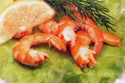 Closeup of cooked shrimps, lemon and greens lying on green leaf of lettuce