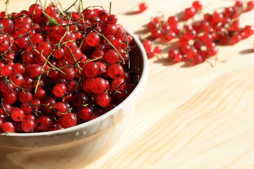 Closeup of red currants in a bowl isolated on wooden background