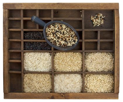 variety of rice grains (white, brown, black, forbidden, wild, basmati, arborio, short, long grain) in vintage wooden typesetter case with rustic scoop isolated with clipping path