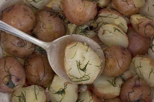 tablespoon and  freshly cooked new red potatoes prepared with salt, dill and melted butter