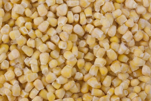 background of frozen and frosty yellow corn kernels 