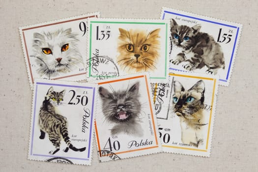 variety of cats including Persian and Siamese on vintage (canceled) Polish post stamps placed casually on artist cotton canvas