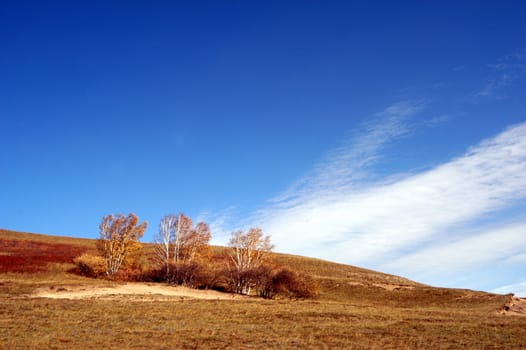 Prairie Autumn Landscape