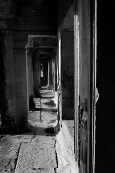 Shot at a temple in Angkor, Cambodia 