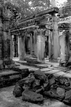 Shot at a temple in Angkor, Cambodia 