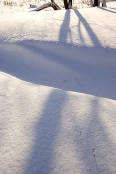 Path covered with snow. Tree shadows on snow. Winter beauty.