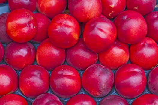 nectarine at street sale