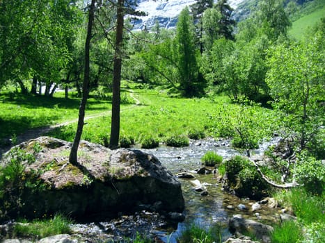 River flow through the forest