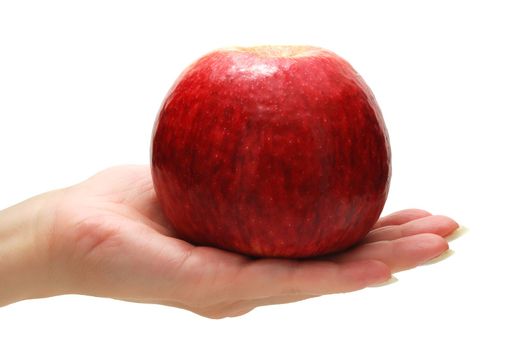 Female Hand Holding Apple Isolated on White Background