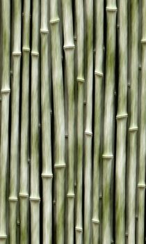 long vertical bamboo branches in a row