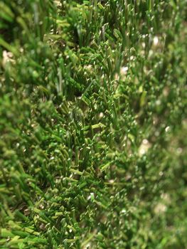 Detail of green grass artificial lawn meadow, useful as a background