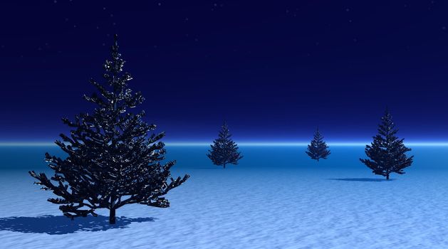 Four fir trees on snow among little fog by evening night