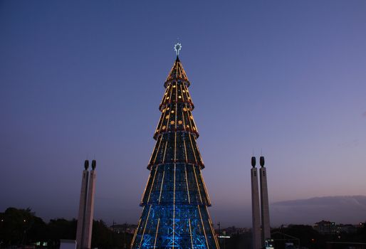 beautiful and tall Christmas tree in Lisbon