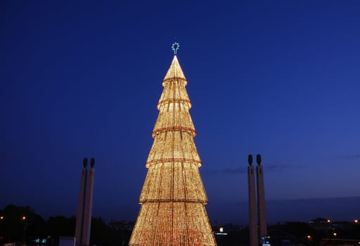 beautiful and tall Christmas tree in Lisbon