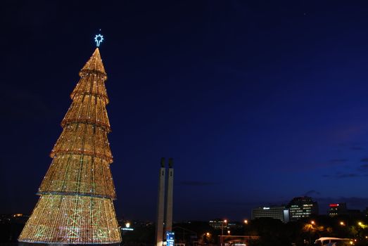 beautiful and tall Christmas tree in Lisbon