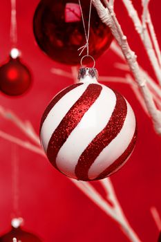 Christmas balls hanging from a white tree branches. Closeup with shallow dof