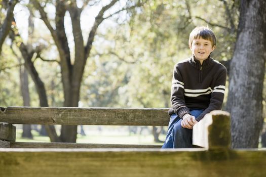 Portrait of a Cute Young Boy Sitting on a Wooden Railing Smiling Directly To Camera