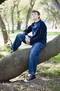 Young Boy Sitting on Tree Trunk in Park