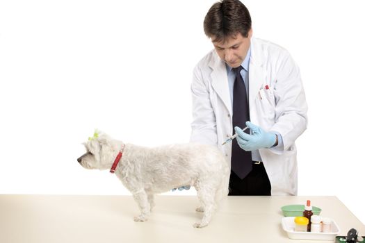 A vet gives a pet dog an injection.  Focus to hand and dog.  Space for copy