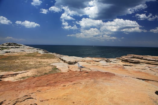 Coastal landscape east coast of Australia