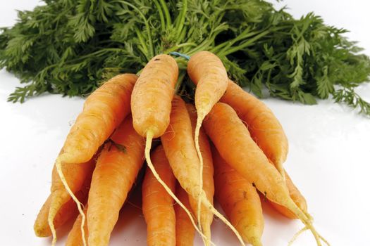 Bunch of young fresh carrots with green leafy tops on a reflective white background