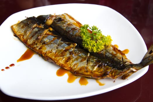 Japanese style grilled fish in a white plate with black sauce