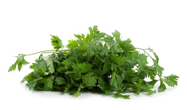 bunch of green parsley, isolated on white