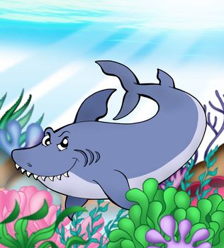 Big blue shark underwater - color illustration.