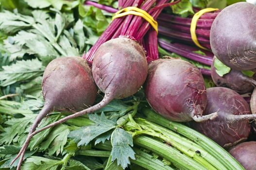 beetroot