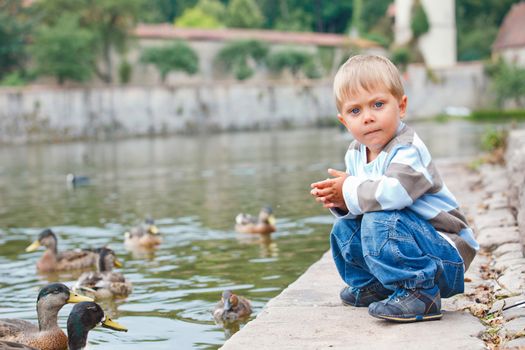 Cute little boy feeding ducks in the pond in a city park. Germany