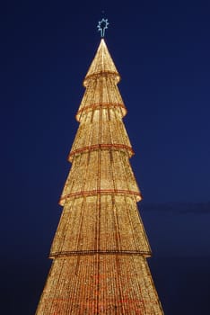 close up on a beautiful and tall Christmas tree